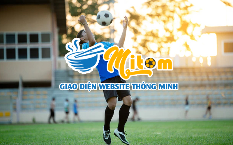 https://cdn.mitomtvs.cc/2022/08/giao-dien-website-thong-minh-de-dang-su-dung.jpg